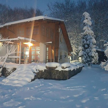Villa Ema Сараево Екстериор снимка