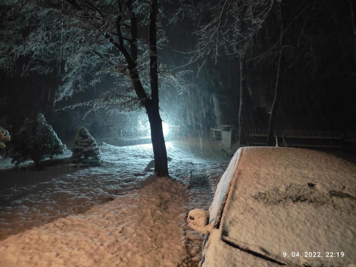 Villa Ema Сараево Екстериор снимка